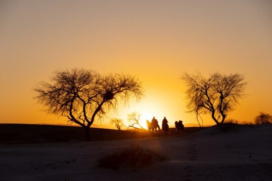 desert safari in jaisalmer